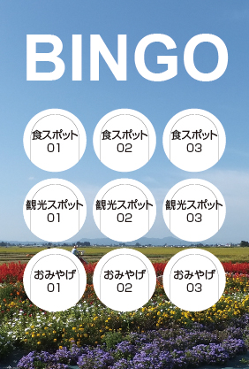 20130415-bingo-3-3-cut-data_sample